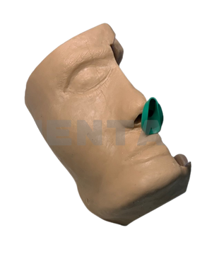 Trainer for installing a nasopharyngeal airway