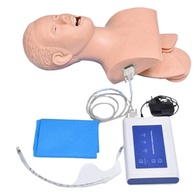 Mannequin for training in the placement of a nasopharyngeal airway with electronics