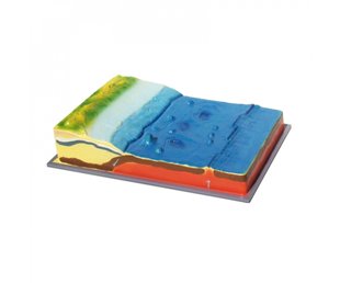 Model "Relief of the seabed"