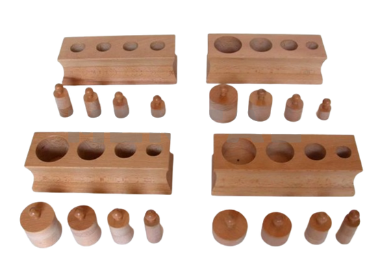 Montessori mini cylinder blocks MENTAL