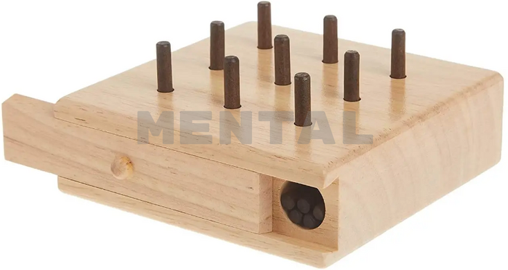 Test with pegs and nine holes (9HPT) TM Mental