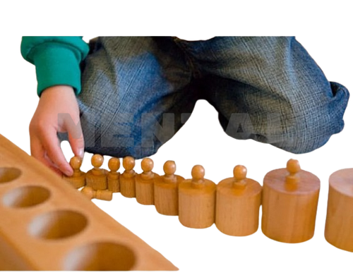 Montessori cylinder blocks MENTAL