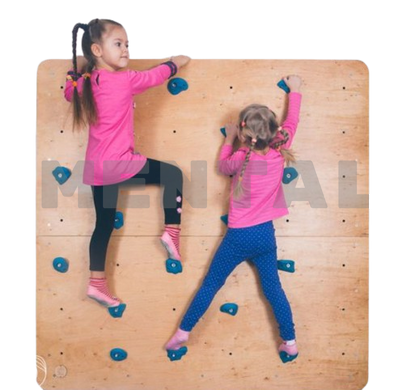 Wall climbing wall "Hoverla"