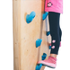 Wall climbing wall "Hoverla"