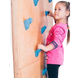 Wall climbing wall "Hoverla"