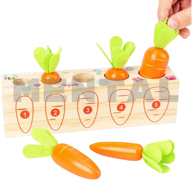 Educational game "Carrots" MENTAL