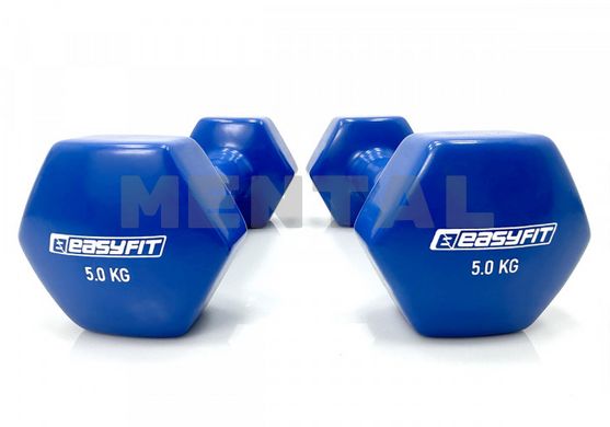 Dumbbell for fitness 5.0 kg MENTAL with blue vinyl cover