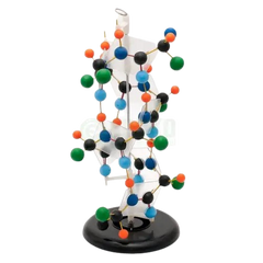 Model of protein structure 50cm high MENTAL