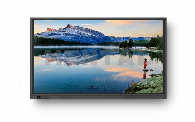 Інтерактивний дісплей Newline RS+ 65" (TT-6519RS+) MENTAL