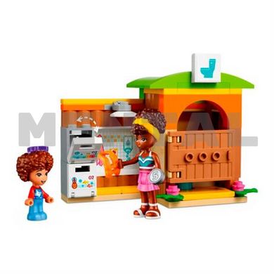 Конструктор LEGO Friends Аквапарк MENTAL