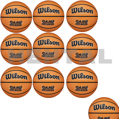A set of 10 basketball balls