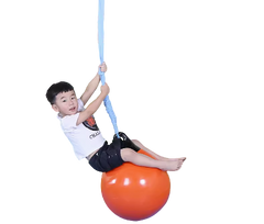 Sensor swing suspension Ball