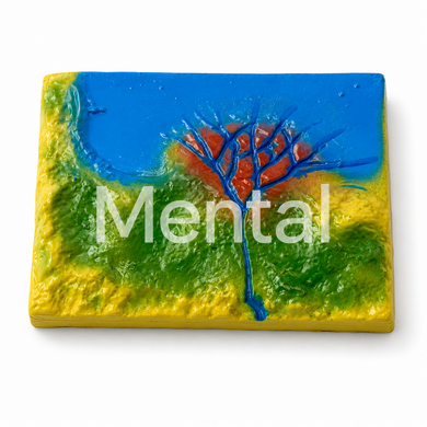 Набор географических демонстрационных Mental География в кейсе