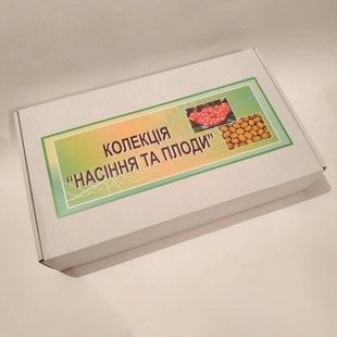 Колекція "Насіння і плоди" 20 зразків