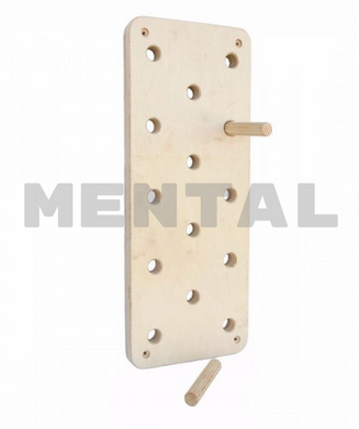 MENTAL training climbing wall with holes