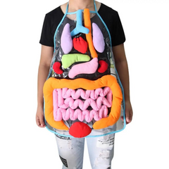 Transparent model apron internal structure of human body organs 3d bathrobe apron human body organs MENTAL