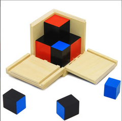 Биноминальный куб MENTAL
