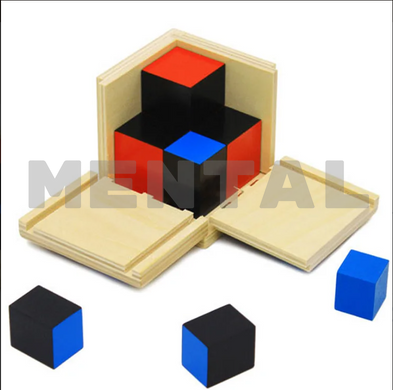 Биноминальный куб MENTAL